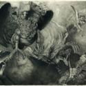 Micki Pellerano's First Solo Exhibition in New York, Revelation Extends