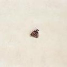 Andrea Meislin Gallery Presents SECOND CITY PSYCHASTHENIA, Opens 1/12