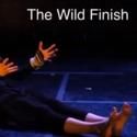 Polish Cultural Institute Presents The Wild Finish