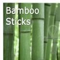 Movement in C, LLC Presents Salma Allam Dance Theater's BAMBOO STICKS