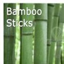 Movement in C, LLC Presents Salma Allam Dance Theater's BAMBOO STICKS