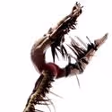 Dzul Dance Presents MAYA 2012: a new beginning