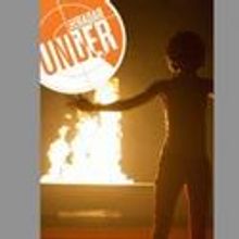 The Public Theater Kicks Off UNDER THE RADAR 2012 Tomorrow 1/4