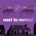 Next to Normal Opens at Actors' Playhouse at the Miracle Theatre