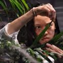 Jim Findlay's Botanica Opens at 3LD 1/28