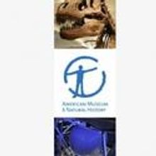 AMNH Global Weekends Announce African-American Musical Mosaic 2/18