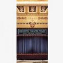 THE LION KING Opens Tonight at the Orpheum Theatre