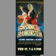 YOUNG FRANKENSTEIN Comes To The Gallo Center 2/19