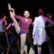 Lyric Theatre's Thelma Gaylord Academy Introduces The Apprentice Institute 