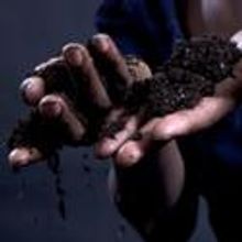 Quintessence Theatre Presents Anouilh's ANTIGONE, Previews 2/29