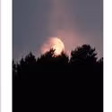 Dan Daily, Kim Martin-Cotten Lead Pearl's A MOON FOR THE MISBEGOTTEN