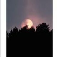 Dan Daily, Kim Martin-Cotten Lead Pearl's A MOON FOR THE MISBEGOTTEN 