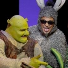 BWW Reviews: SHREK North American Tour Makes a Smash in Canada