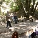 Botanicum Seedlings Festival Set for 11/19-20