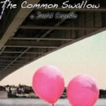 Auditions for THE COMMON SWALLOW's Pre-Broadway World Premiere, 8/23 & 8/25