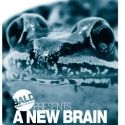 BALD Theatre Company Presents A NEW BRAIN, 9/2-9/10