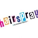 Warner Stage Company Announces Auditions for HAIRSPRAY, 8/29 & 8/30