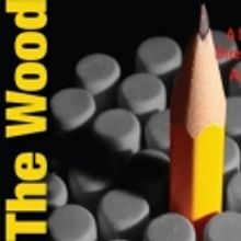 Rattlestick Playwrights Theatre Postpones THE WOOD Opening Until 9/15