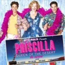 PRISCILLA, SISTER ACT, et al. Take Part in 2011 Broadway Week