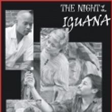NOW PLAYING: Miners Alley Playhouse presents THE NIGHT OF THE IGUANA