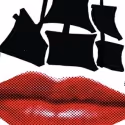 Westport Country Playhouse Stages Shakespeare’s TWELFTH NIGHT, Opens 10/11