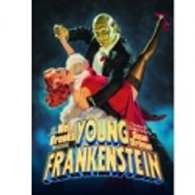 Victoria Theatre Association Presents YOUNG FRANKENSTEIN 10/4-9