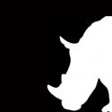 ORSON’S SHADOW Begins Performances at Theatre Row, 10/6