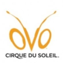 Cirque du Soleil's OVO Departs Santa Monica, 3/25