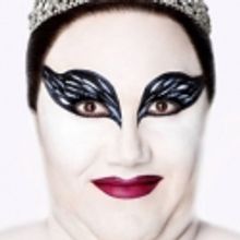 FAT SWAN Returns to Sydney, 5/16-26