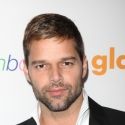 GLEE, PRISCILLA, Ricky Martin & More Receive GLAAD Nominations