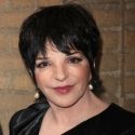 Liza Minnelli, Joel Grey, et al. to Appear in 2012 TCM Classic Film Festival