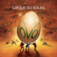 Santa Monica Pier Aquarium Announces Free February Sundays in Collaboration with CIRQ