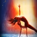 FLASHDANCE THE MUSICAL Coming to Broadway in Fall 2012