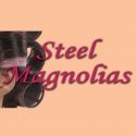 STEEL MAGNOLIAS Opens at Bristol Riverside Theatre, 3/20-4/8