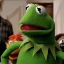 STAGE TUBE: THE MUPPETS Final Trailer Includes TWILIGHT Parody