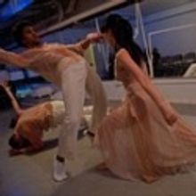 Amanda Selwyn Dance Theatre to Present WHITE NIGHT II Gala, 2/25