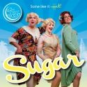Michael Kern Cassidy, Tony Panighetti et al. Set for SUGAR at 42nd Street Moon