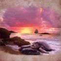 BETC's SHIPWRECKED! Begins Previews 2/9, Opens 2/10
