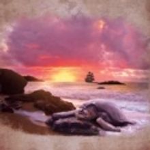 BETC's SHIPWRECKED! Begins Previews 2/9, Opens 2/10