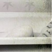 BWW Reviews: Better Title for Herzog's Newest Play BELLEVILLE in its World Premiere a Photo