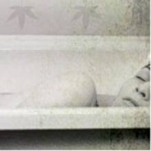 BWW Reviews: Better Title for Herzog's Newest Play BELLEVILLE in its World Premiere a