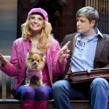 Photo Flash: First Look at Stephen Ashfield and Ben Freeman in West End's LEGALLY BLONDE!