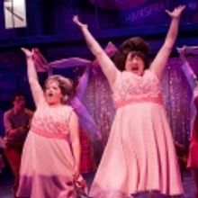 BWW Reviews: HAIRSPRAY at the Signature - Simply a Treat