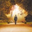Weinstein Company Greenlights FINDING NEVERLAND Musical Following Successful London…