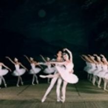 The Moscow Festival Ballet Dances Classic Swan Lake at the Van Wezel, 2/28