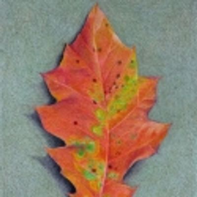 Jackson Gallery Presents Annual Juried Holiday Exhibit 11/11-12/31