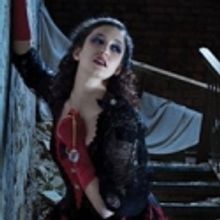 Dallas Opera Announces Successful Endowment Campaign