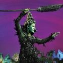 Photo Flash: First Look at Marianne Benedict as Wicked Witch in THE WIZARD OF OZ
