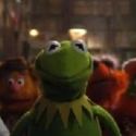 STAGE TUBE: First Look - THE MUPPETS IN BOLLYWOOD Trailer