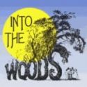 Provincetown Counter Productions to Present INTO THE WOODS, 11/23-12/4